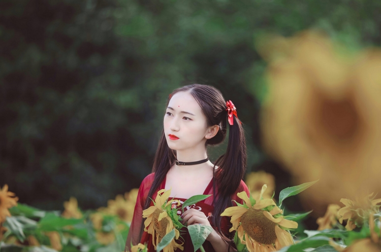 红衣古装双马尾美女大小姐优雅花海香艳写真图片