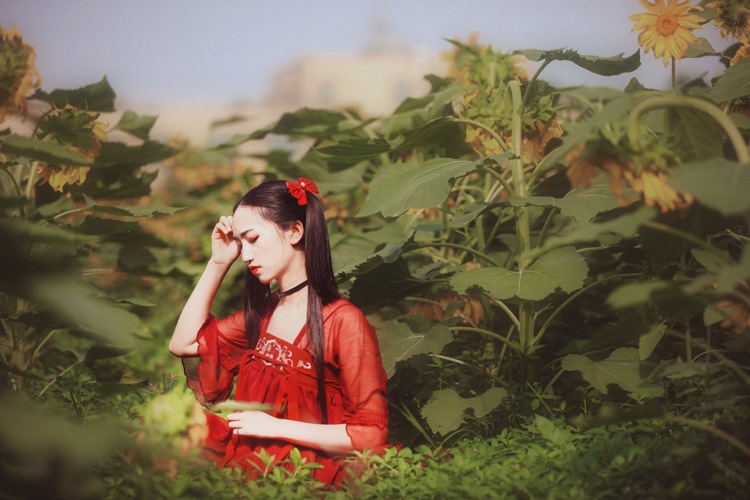 红衣古装双马尾美女大小姐优雅花海香艳写真图片